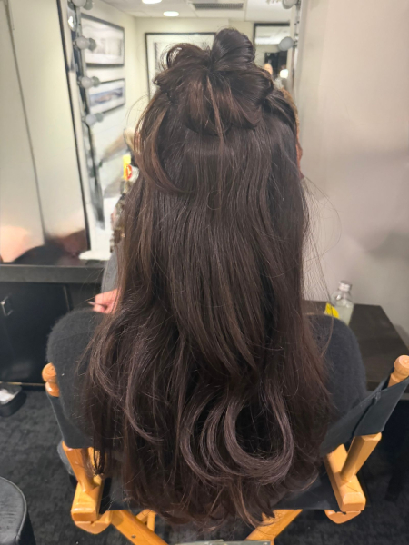 The back of Dakota Johnson's updo